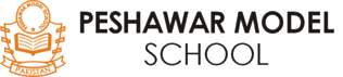 Peshawar Model School